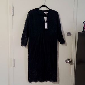 New York & Company Eva Mendes Black Lace Dress Size XL